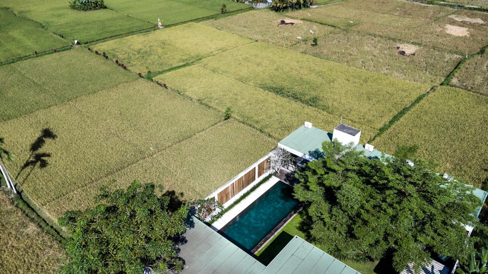 Vila Loft Matahari By Balisuperhost Ubud Exteriér fotografie